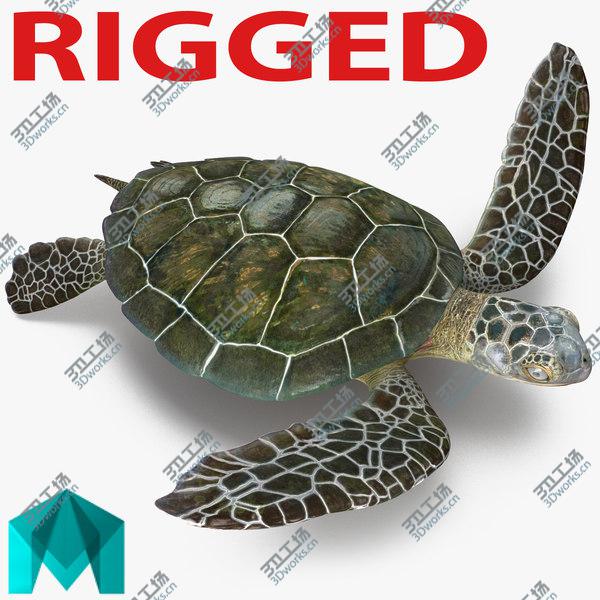 images/goods_img/20210312/Sea Turtle Rigged for Maya/1.jpg
